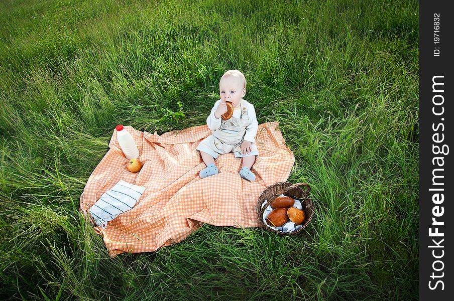 Picnic with baby sitting on green grass