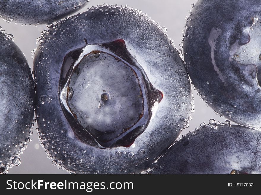 The blueberry on white background