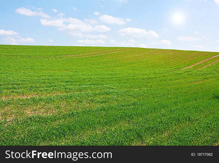 Green hill, of blue sky, Lithuania edge of fields and hills. Green hill, of blue sky, Lithuania edge of fields and hills