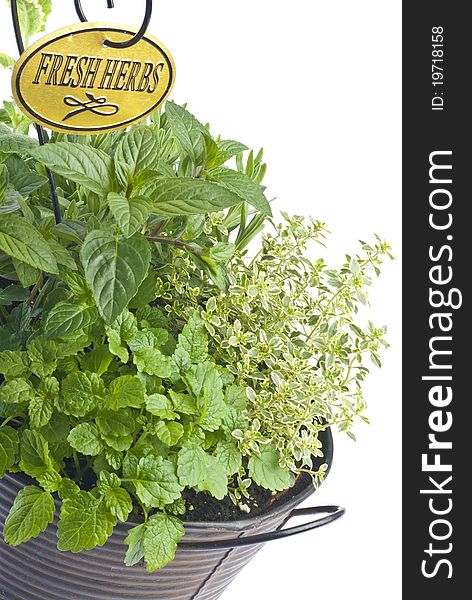 Mixed Fresh Herbs in a Basket