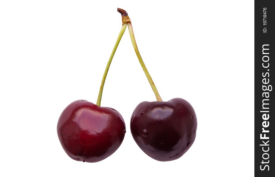 Two fresh cherries still attached to their stem. Clipping path included.