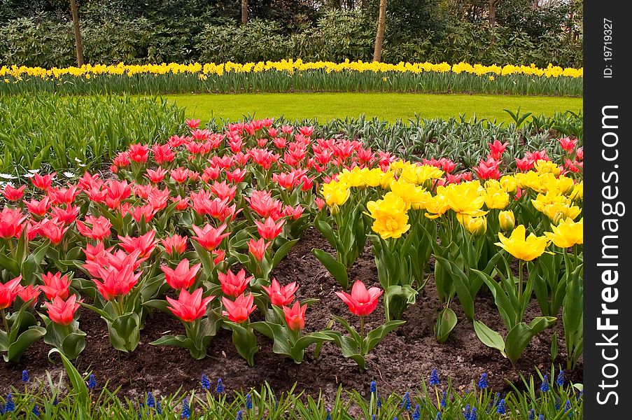 Pretty manicured flower garden with colorful flowers. Pretty manicured flower garden with colorful flowers.