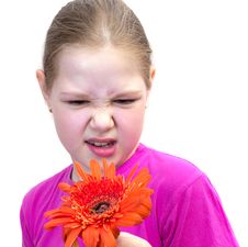 The Girl With A Flower Isolated Stock Image The Girl With A Flower Isolated Stock Image