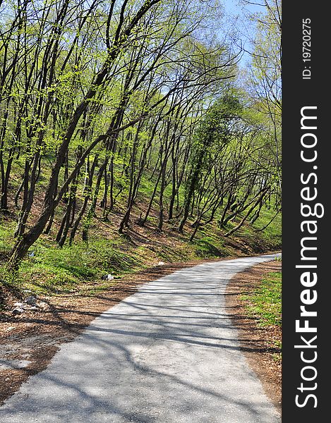 Curved road under cloudy sky. Curved road under cloudy sky