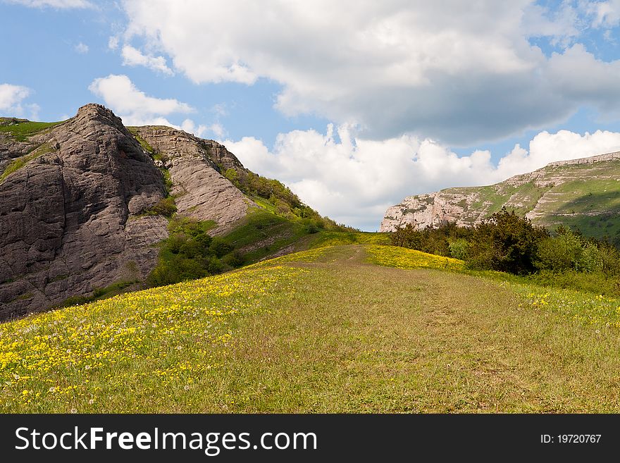 Mountain road with flowers, sky