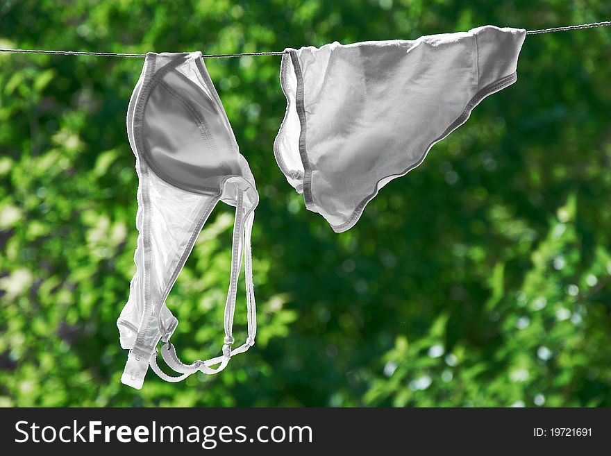 Panties and bra drying on green background