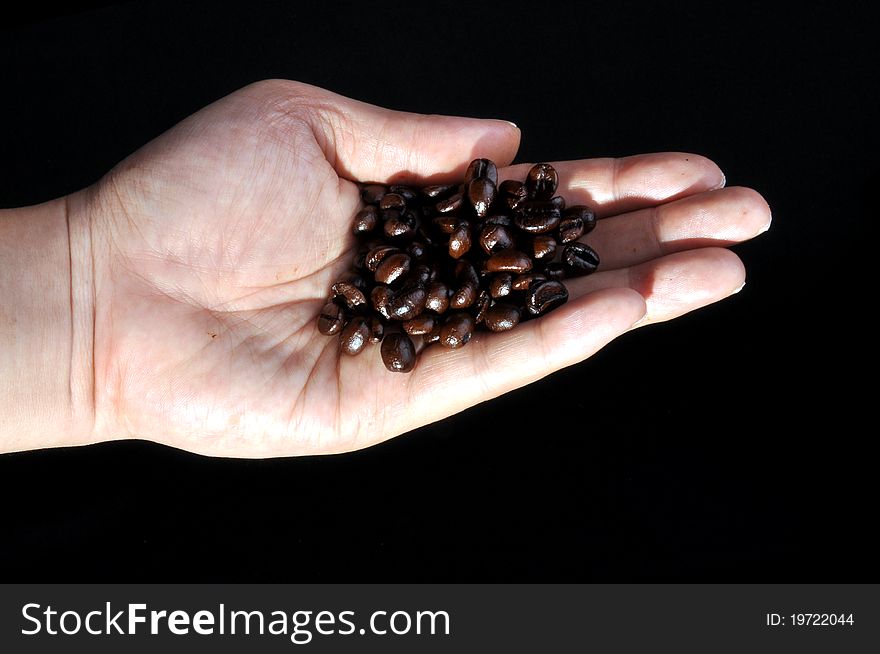 Coffee beans pouring out of cupped hands