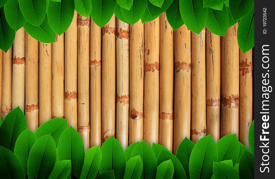 Leave of plant  on bamboo background