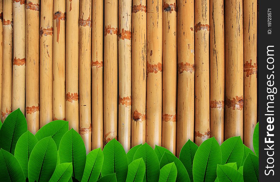 Leave of plant on bamboo background for presentation. Leave of plant on bamboo background for presentation.