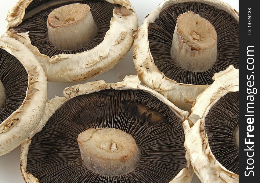 Large Flat Mushrooms