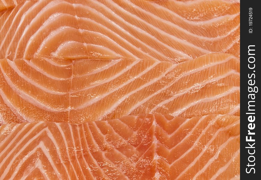 Close-up of fresh Salmon Fillets. Close-up of fresh Salmon Fillets