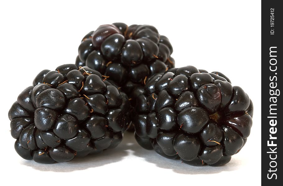 Blackberries isolated over white background