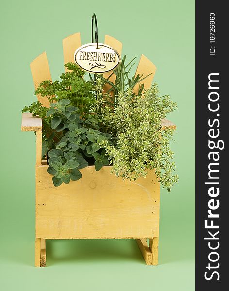 Fresh herbs in a wood planter on green background. Fresh herbs in a wood planter on green background.