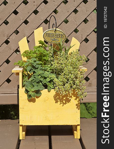 Fresh Mixed Herbs In A Wood Planter