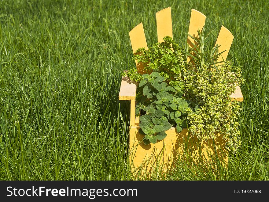 Fresh herbs in a yellow Muskoka chair planter on the grass. Fresh herbs in a yellow Muskoka chair planter on the grass.