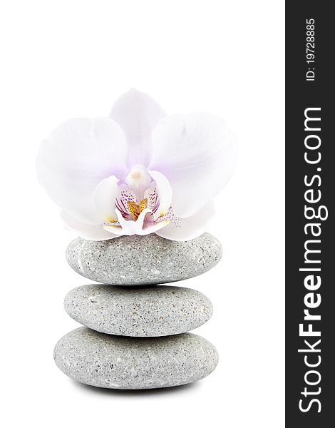 Orchid and stones on white background