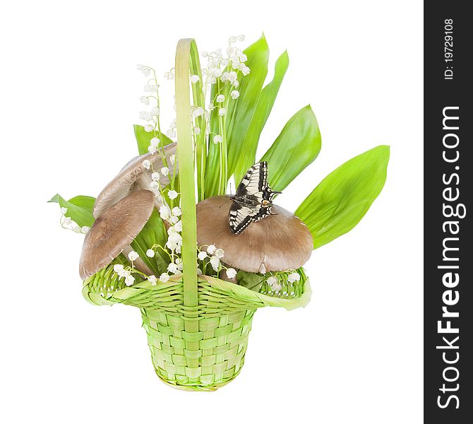 Bouquet of lilies of the valley, and mushrooms with a butterfly isolated on white background