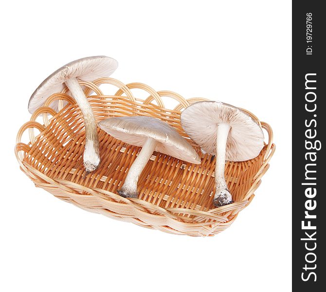 Mushrooms in wicker basket, isolated on a white background