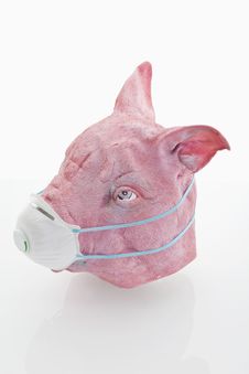 Swine-flu Royalty Free Stock Photography