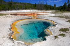 Yellowstone National Park Royalty Free Stock Image