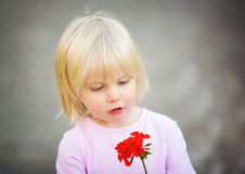 Cute Little Girl Looking At Her Red Flower Stock Images