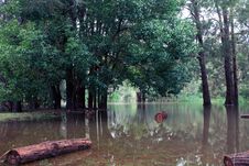 Flood Stock Photo Flood Stock Photo