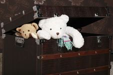 Teddy Bears Coming Out Of Box Royalty Free Stock Image
