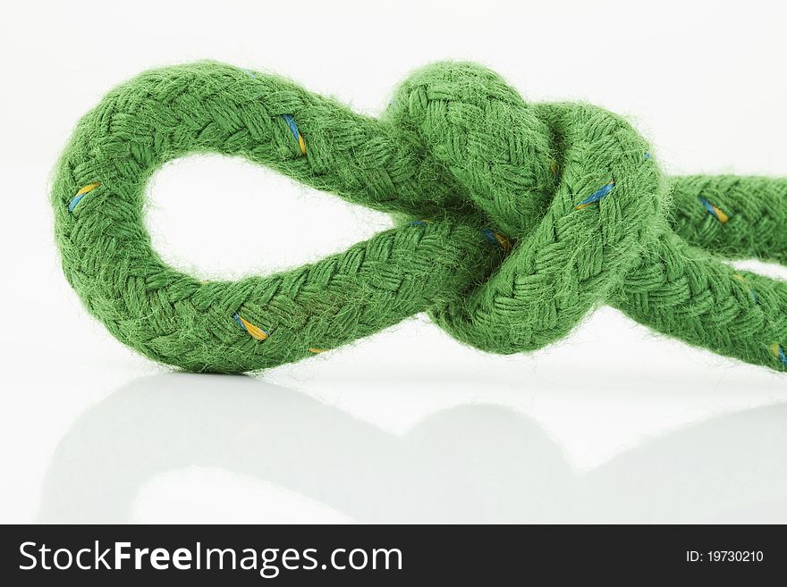 A burl in a green rope on white background