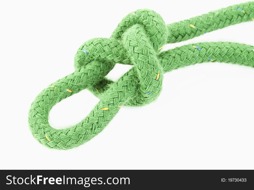 A burl in a green rope on white background