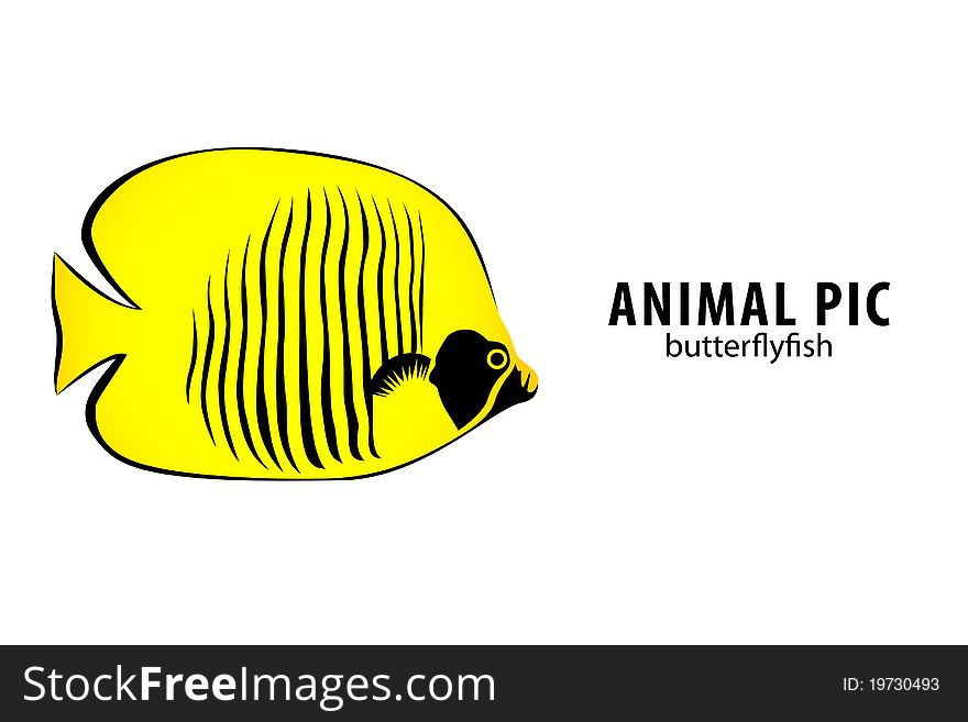 Golden butterfly fish on white (illustration). Golden butterfly fish on white (illustration)