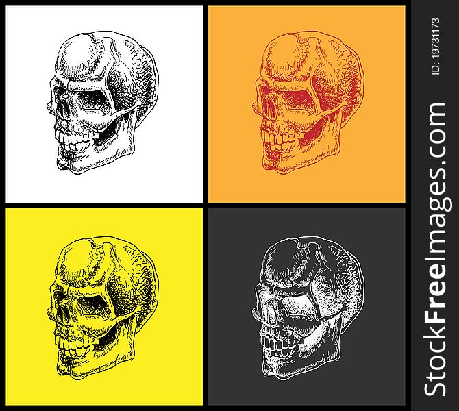 Set of doodle skulls. Hand drawn. Vector element for your design.