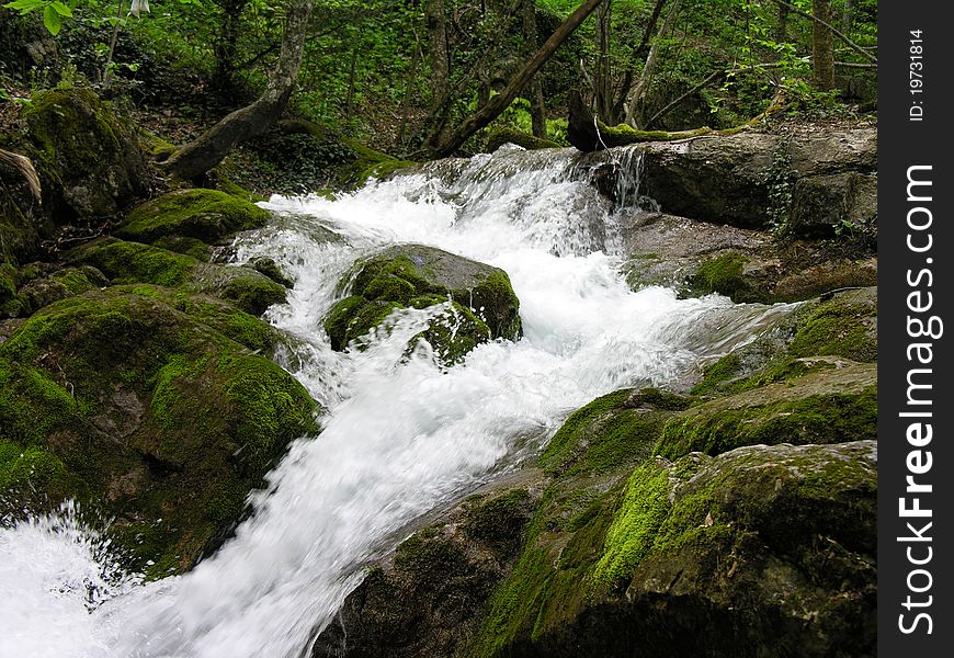 Waterfall In Wood