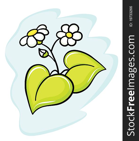 Beautiful flower a camomile for your design. Beautiful flower a camomile for your design.