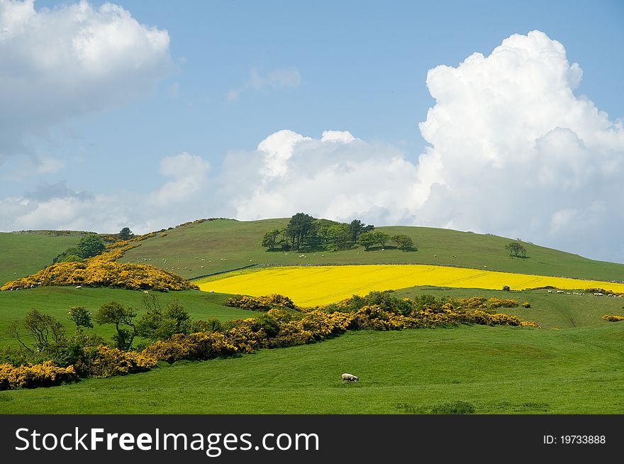 Scottish hills in the spring