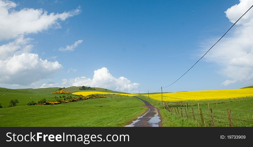 The landscape of st abbs in scotland. The landscape of st abbs in scotland