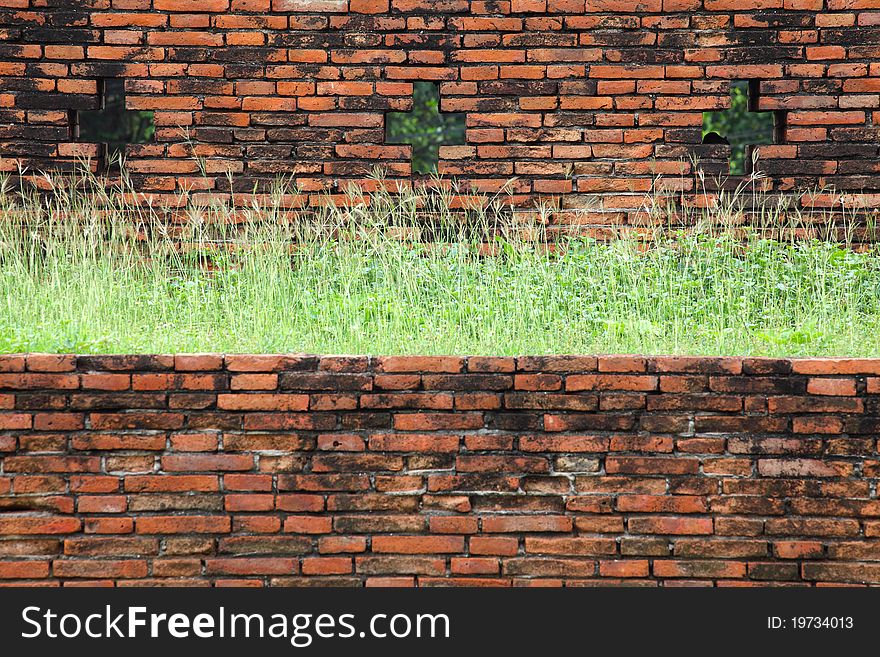 Old Brick Wall Grown With Grass