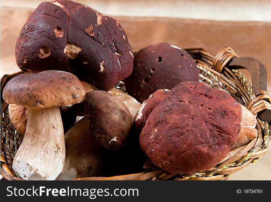 Basket full of mushrooms. (Boletus edulis)