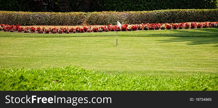 Golf Putting Green and Flag