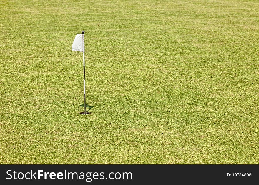 Golf Putting Green and Flag