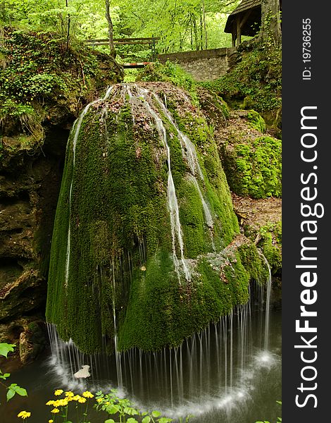 Beautiful river forming small waterfalls in a forest. Beautiful river forming small waterfalls in a forest