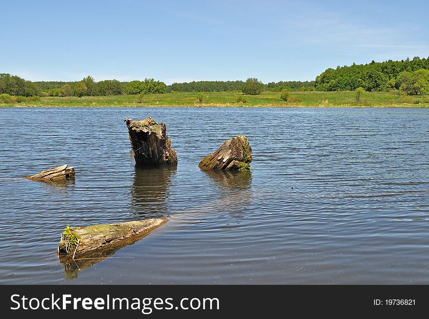 View of lake with old stumps on foreground. View of lake with old stumps on foreground