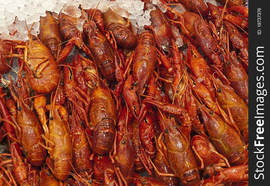 Fresh Red Crawfish in the market. Fresh Red Crawfish in the market