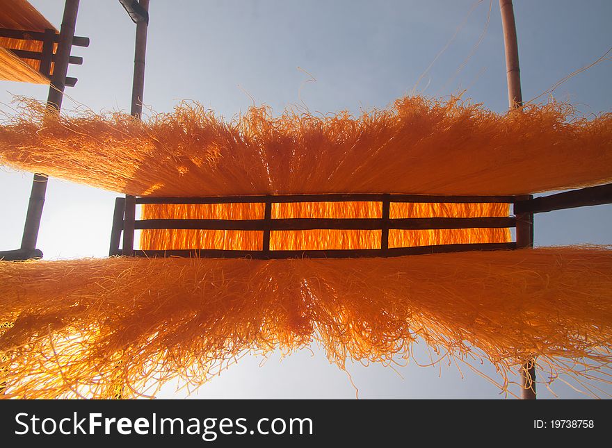 Vermicelli noodles drying in the sun. Vermicelli noodles drying in the sun