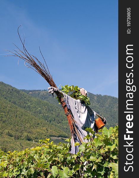 Straw Man guarding a vineyard