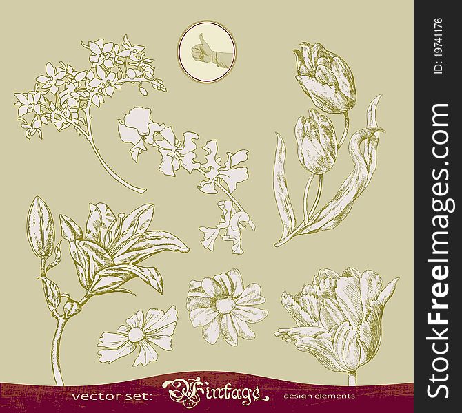 Hand-drawn graphics - a set of decorative flowers. Hand-drawn graphics - a set of decorative flowers