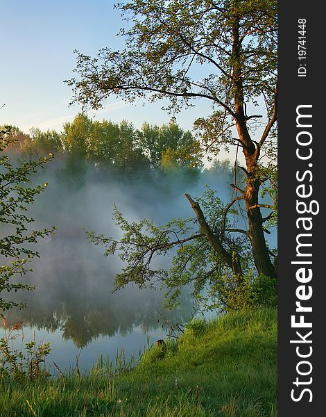 Misty morning on the lake shore