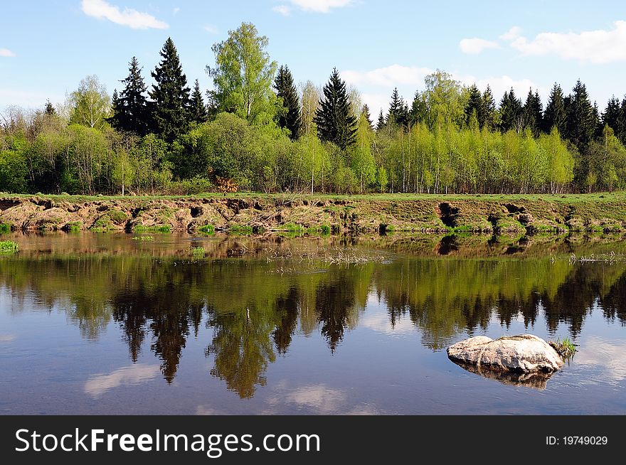 Beautiful Trees Are Reflected In Water