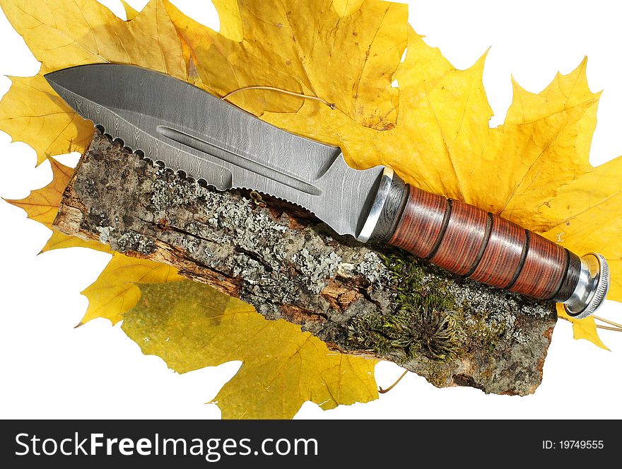 The hunting knife on maple leaves