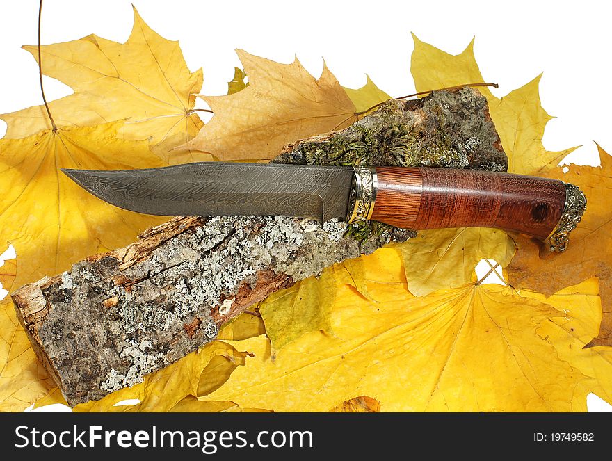 The hunting knife on maple leaves