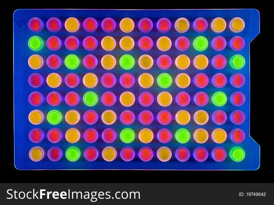 Ninety-six well plate containing multi-coloured fluorescing samples. Isolated on black [with clipping path]. Ninety-six well plate containing multi-coloured fluorescing samples. Isolated on black [with clipping path].